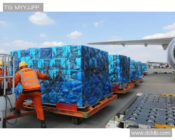 武汉排球队的蜕变之路：从传统强队到现代化竞技新标杆